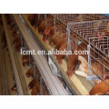 Automatic quail feeding equipment